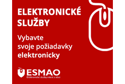 Elektronické služby